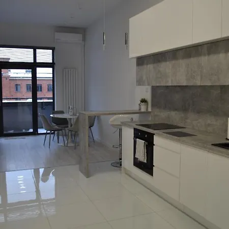 Exclusive Loft Tymienieckiego Street Łódź